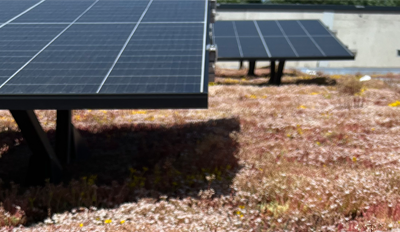 Was bietet der ZEBAU-Fachbereich Solarenergie?
