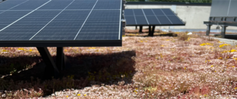 Was bietet der ZEBAU-Fachbereich Solarenergie?