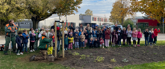 Obstbaumpflanzung im Energiequartier Marli