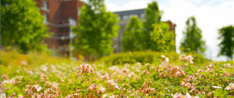 Klimaanpassungskonzept für den Kreis Pinneberg