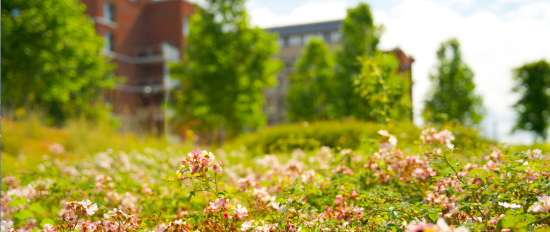 Klimaanpassungskonzept für den Kreis Pinneberg
