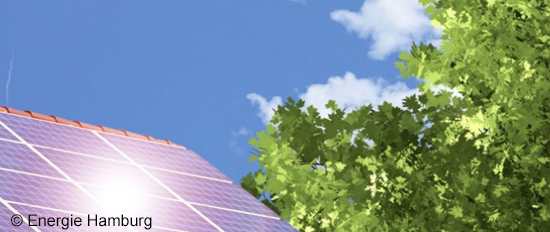 Infoveranstaltung der Hamburger Energielotsen: Energie in Bürgerhand: So lässt sich die Energiewende gemeinsam gestalten