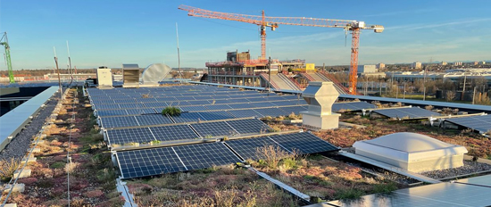 Solar-Expertenkreis der Hamburger Energielotsen: Erfolgreiche Umsetzung von Solar-Gründächern: Planung & Ausführung