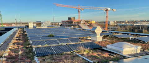 Expertenkreis der Hamburger Energielotsen: Solargründächer ab 2027: Rechtliche Anforderungen und praktische Beispiele in Hamburg