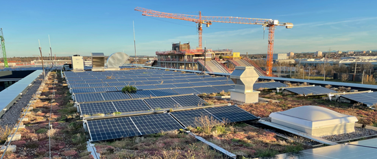 Expertenkreis der Hamburger Energielotsen: Solargründächer ab 2027: Rechtliche Anforderungen und praktische Beispiele in Hamburg