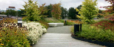 Klimaanpassungskonzept für ein Wohnobjekt der Stiftung Freundeskreis