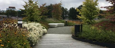 Klimaanpassungskonzept für ein Wohnobjekt der Stiftung Freundeskreis