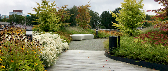 Klimaanpassungskonzept für ein Wohnobjekt der Stiftung Freundeskreis
