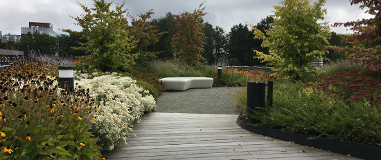 Klimaanpassungskonzept für ein Wohnobjekt der Stiftung Freundeskreis