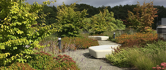 Klimaanpassungskonzept für ein Wohnobjekt der Stiftung Freundeskreis