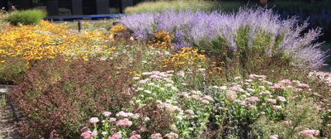 Klimaanpassungskonzept für die Stadt Pinneberg