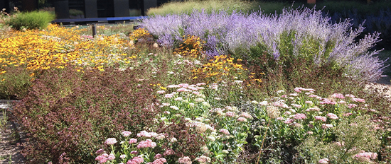 Klimaanpassungskonzept für die Stadt Pinneberg