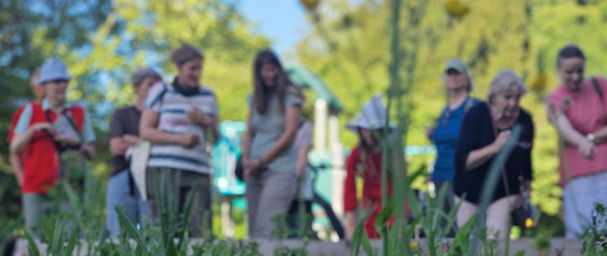 Klima-Tour Eimsbüttel. Spaziergang zur Anpassung an die Folgen des Klimawandels